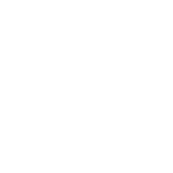 logo-bocconi_pri